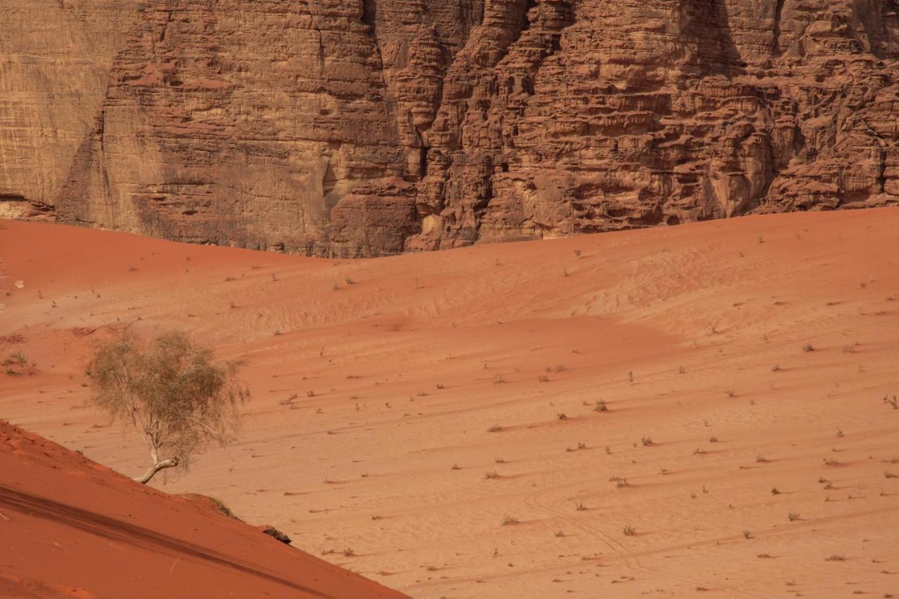 Wadi Rum Nights ภายนอก รูปภาพ