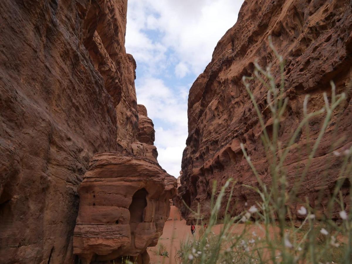 Wadi Rum Nights ภายนอก รูปภาพ