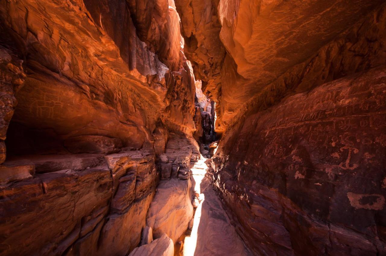 Wadi Rum Nights ภายนอก รูปภาพ
